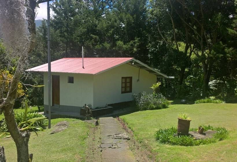 ホテル Cabañas Dr. Rivera