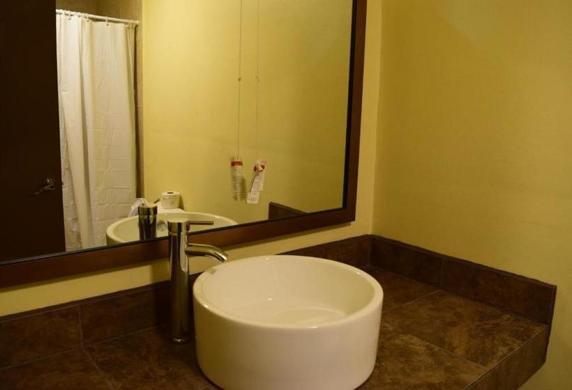 Отель Revolución