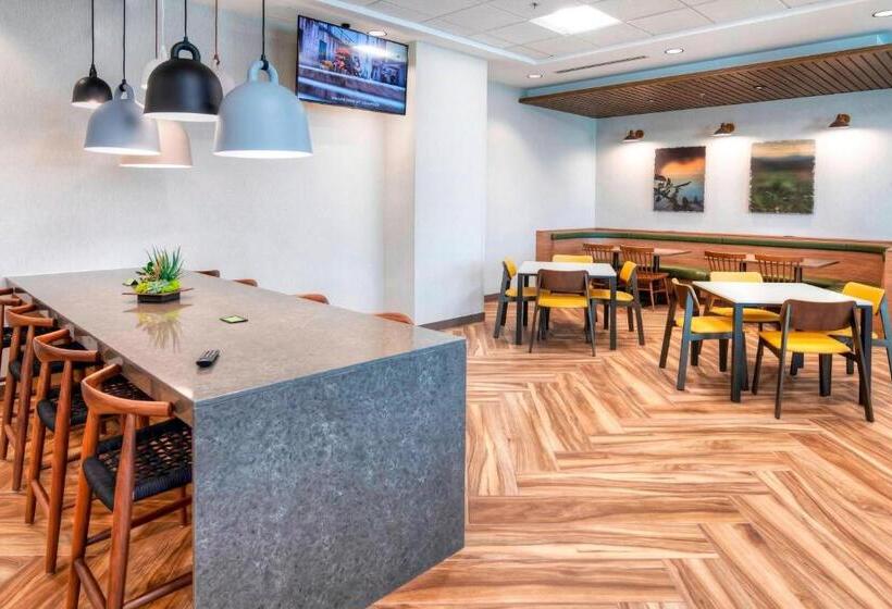 酒店 Fairfield Inn & Suites By Marriott Ottawa Airport