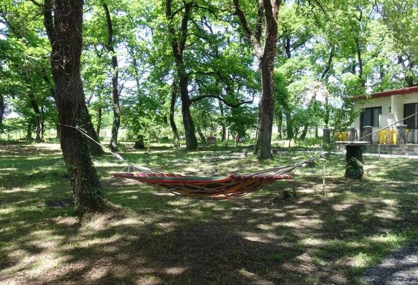 هتل Kvareli Oaks