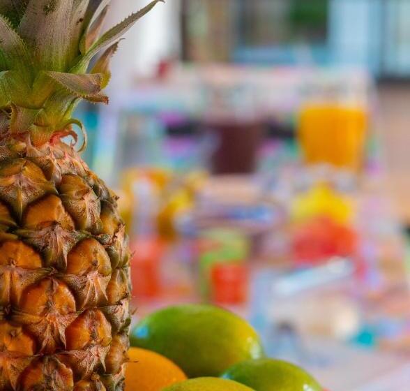 בית מלון כפרי Pousada Rosa Tropicalia