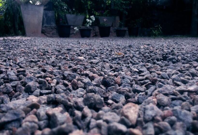 호텔 Summer Villa Ella