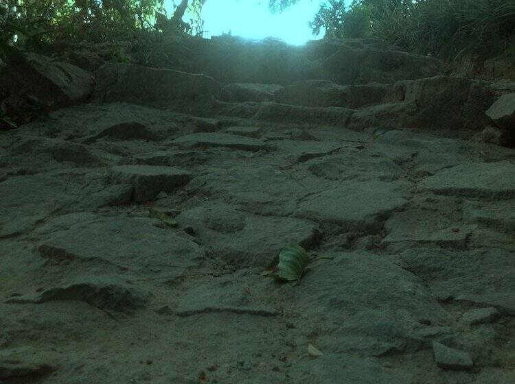 호텔 Summer Villa Ella