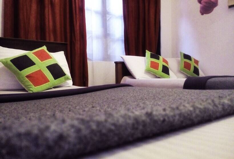 호텔 Summer Villa Ella