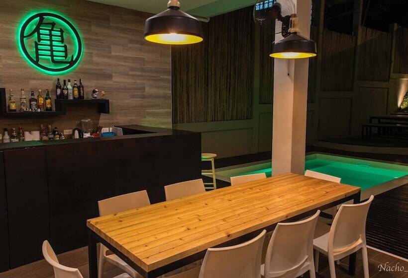 Kame House Backpackers   Hostel   Adults Only