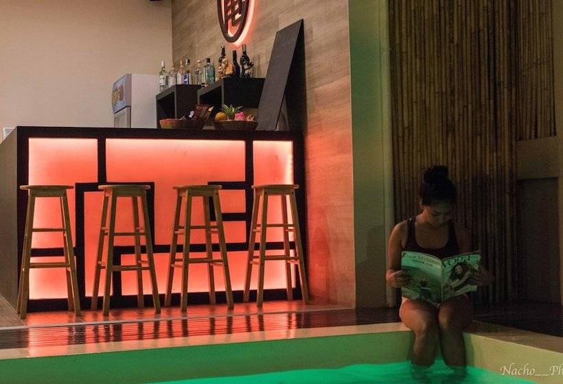 Kame House Backpackers   Hostel   Adults Only