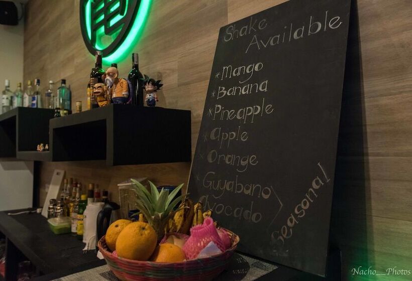 Kame House Backpackers   Hostel   Adults Only