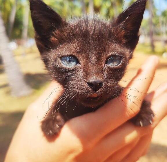 Kitelantis Hotel And Resort