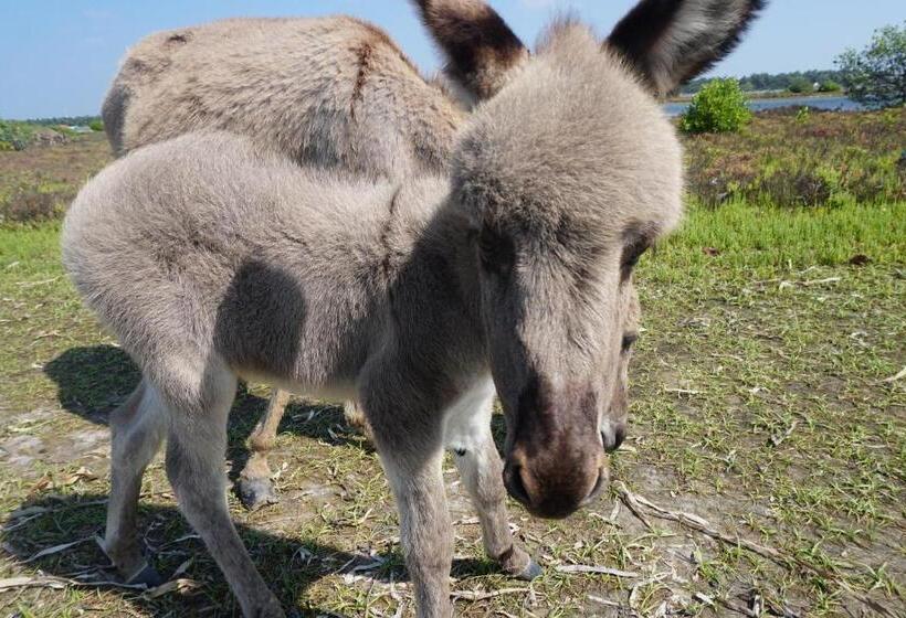 Kitelantis Hotel And Resort