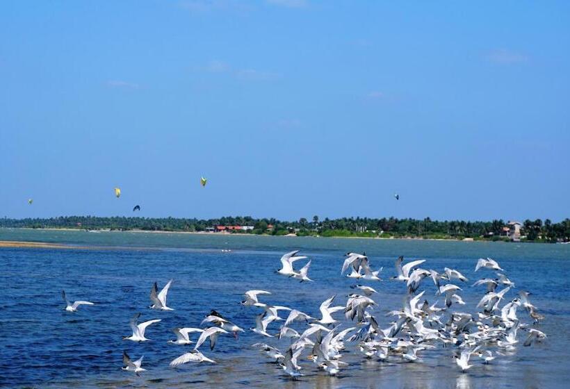 Kitelantis Hotel And Resort