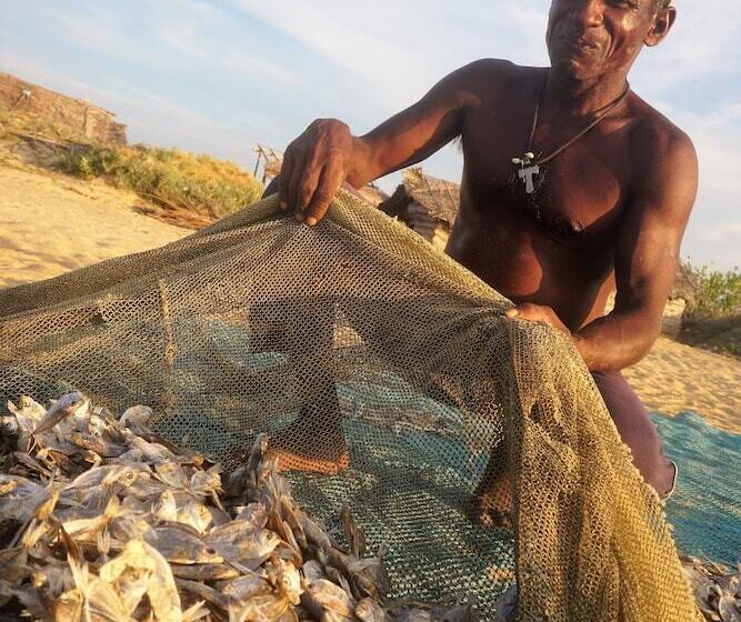 Kitelantis Hotel And Resort