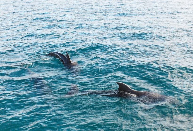 Kitelantis Hotel And Resort