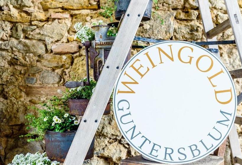 בית מלון כפרי Land Weingold Guntersblum