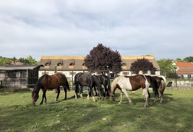 ベッドアンドブレックファースト The Houses Of History  Anno 1830