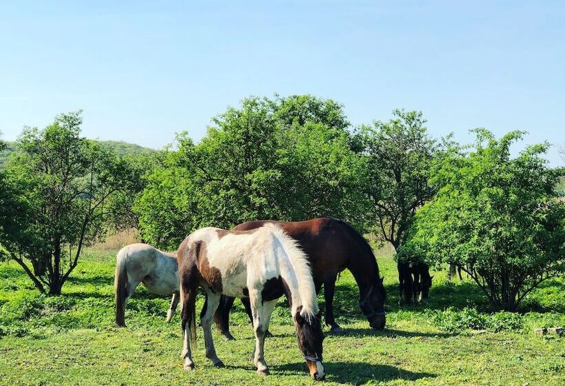 ベッドアンドブレックファースト The Houses Of History  Anno 1830