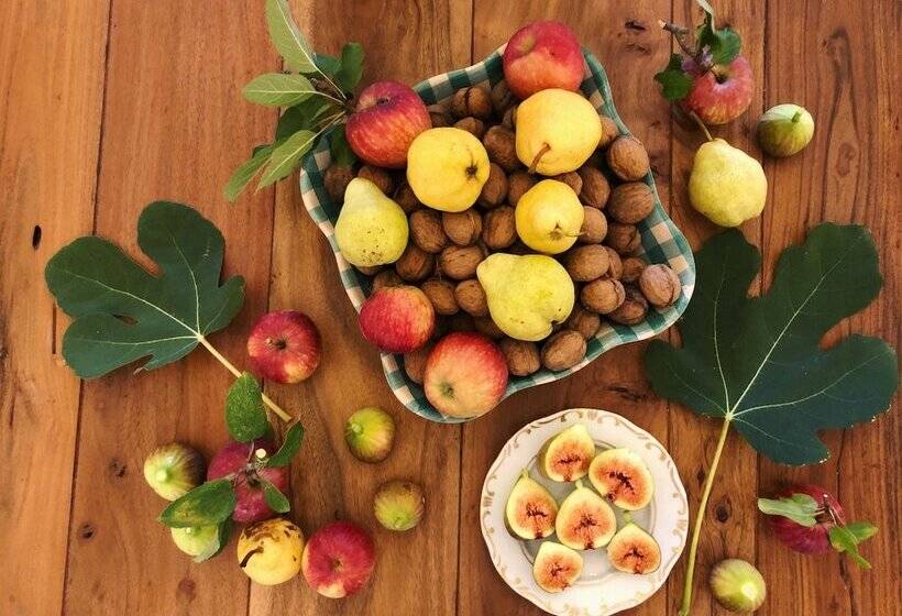 ベッドアンドブレックファースト The Houses Of History  Anno 1830