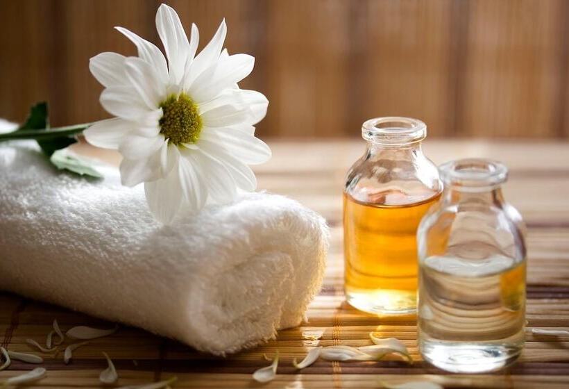 ベッドアンドブレックファースト The Houses Of History  Anno 1830