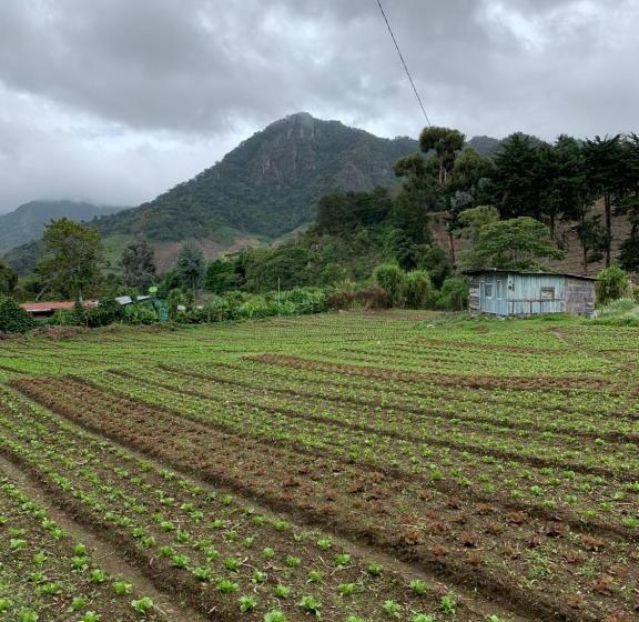 Eucaliptos Bed And Breakfast