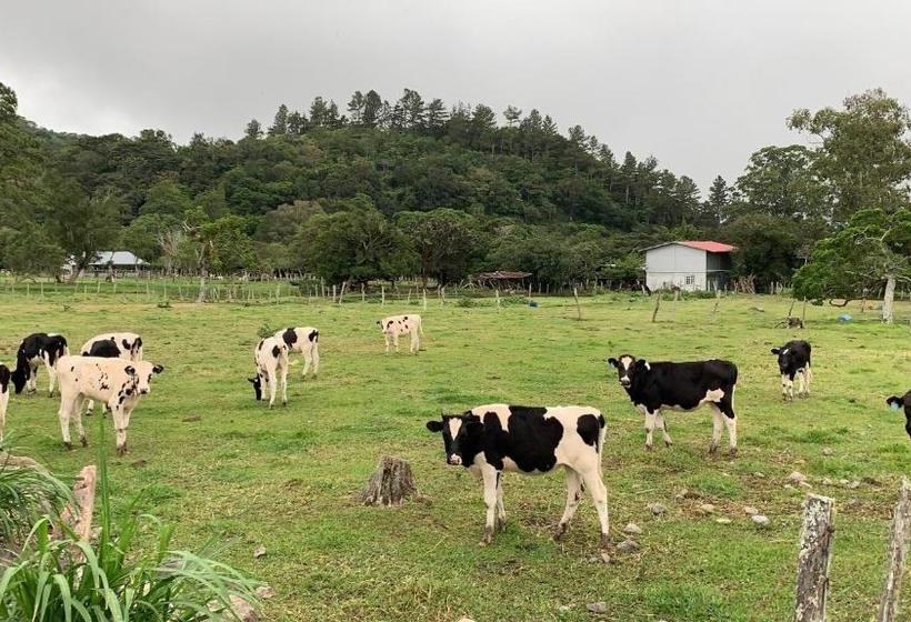 Eucaliptos Bed And Breakfast