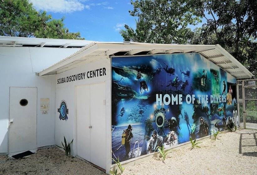 Hideaway Dive Hostel