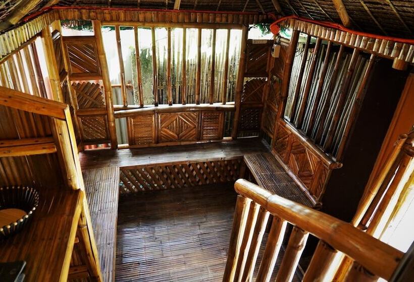 Hideaway Dive Hostel