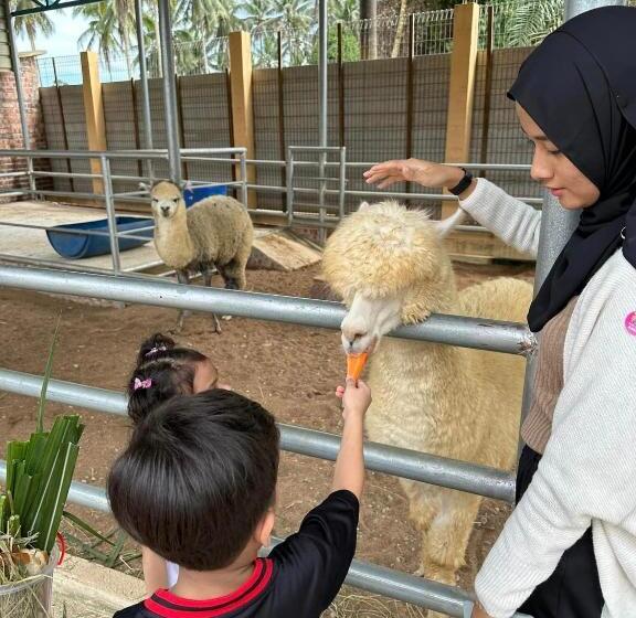 Anggerik Impian Hotel  Best For Travellers At Kuala Berang