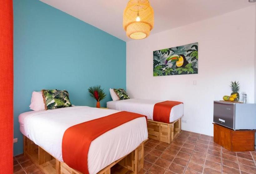 酒店 Bird Of Paradise