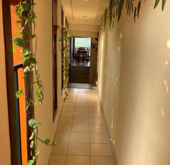 酒店 Cafénaranja Xilitla