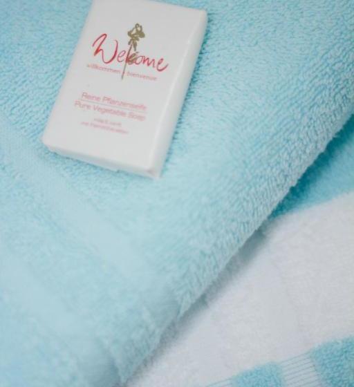 Отель Gasthof Und Pension Zur Sonne