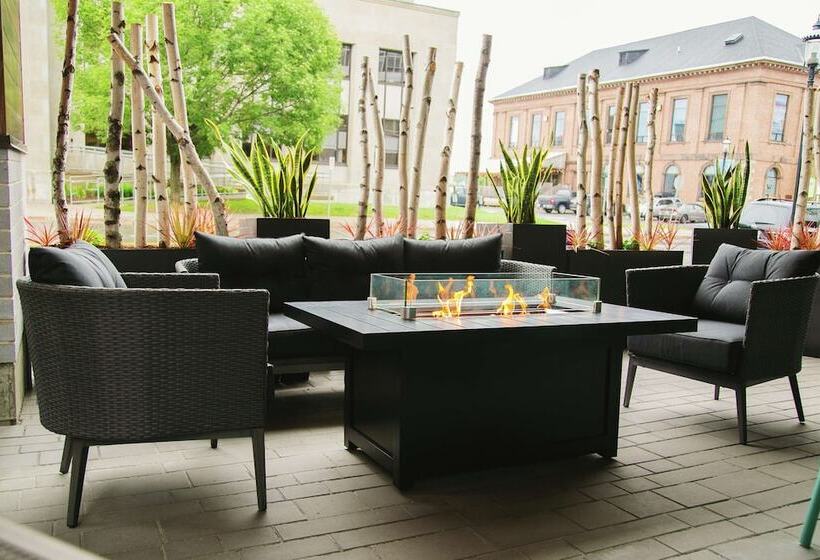 ホテル Hilton Garden Inn Fredericton