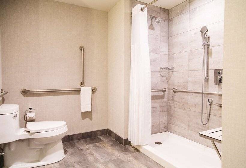 ホテル Hilton Garden Inn Fredericton