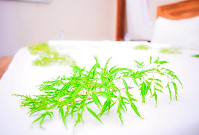 酒店 Kikoi Boutique