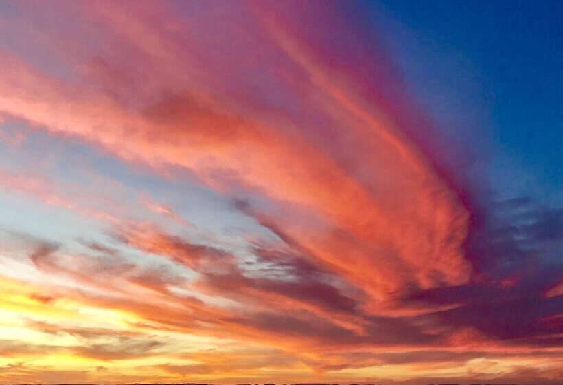 ホテル Marea La Paz