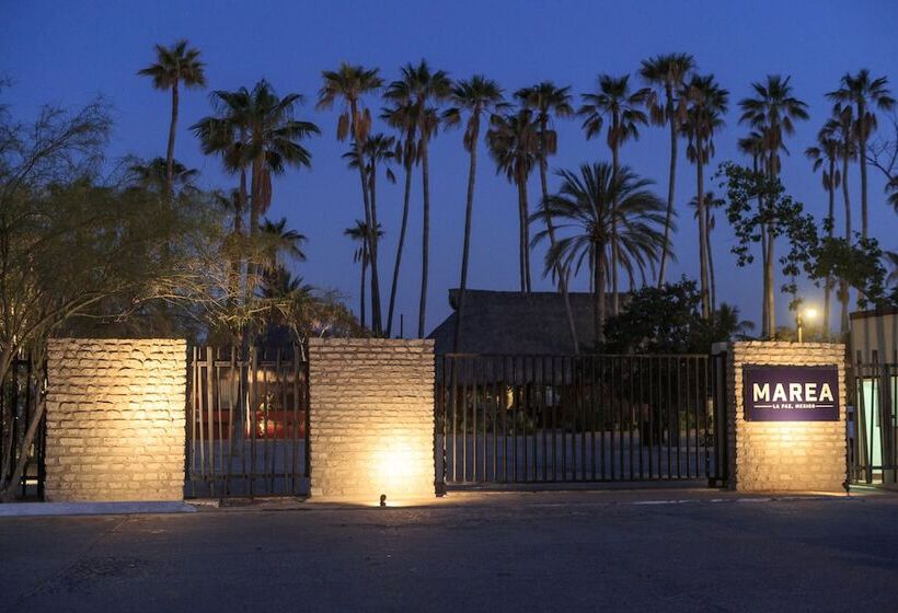 ホテル Marea La Paz