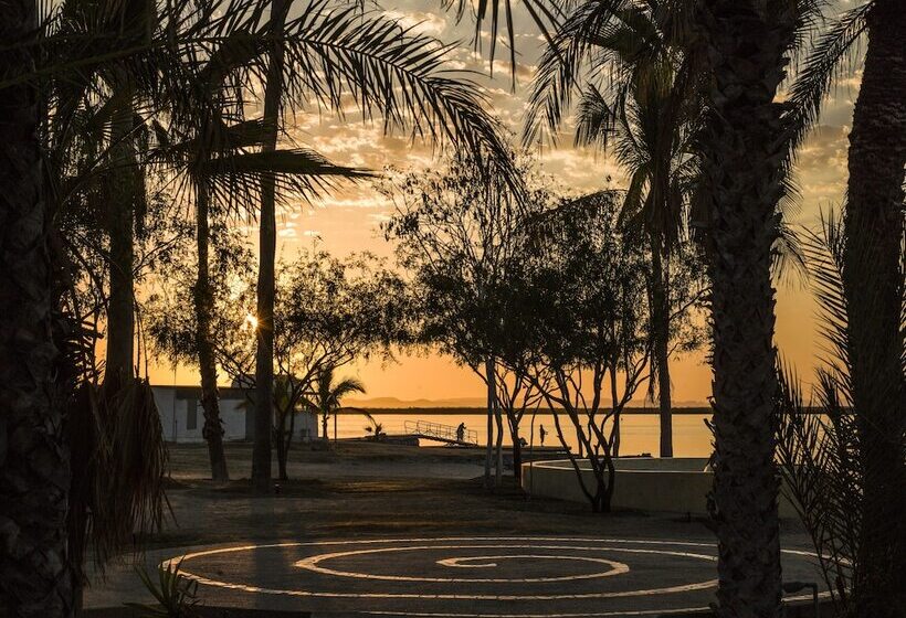 ホテル Marea La Paz