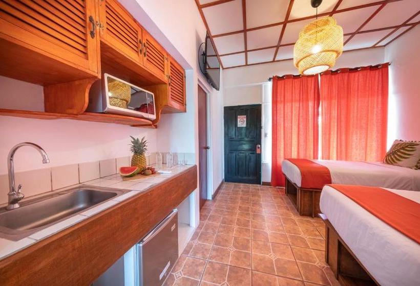 酒店 Bird Of Paradise