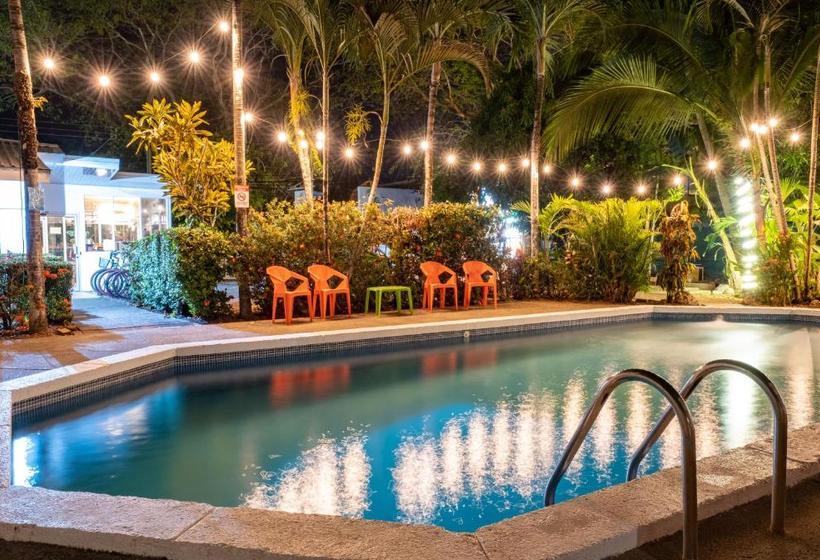 酒店 Bird Of Paradise