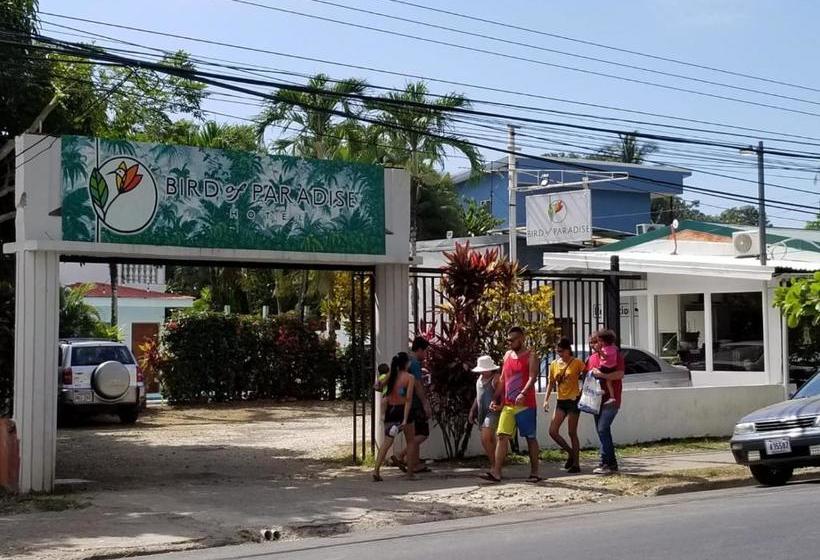 酒店 Bird Of Paradise
