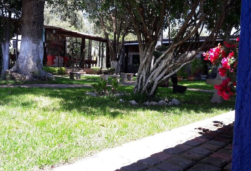 בית מלון כפרי Vicalis