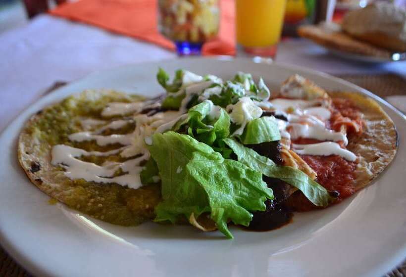 בית מלון כפרי Vicalis