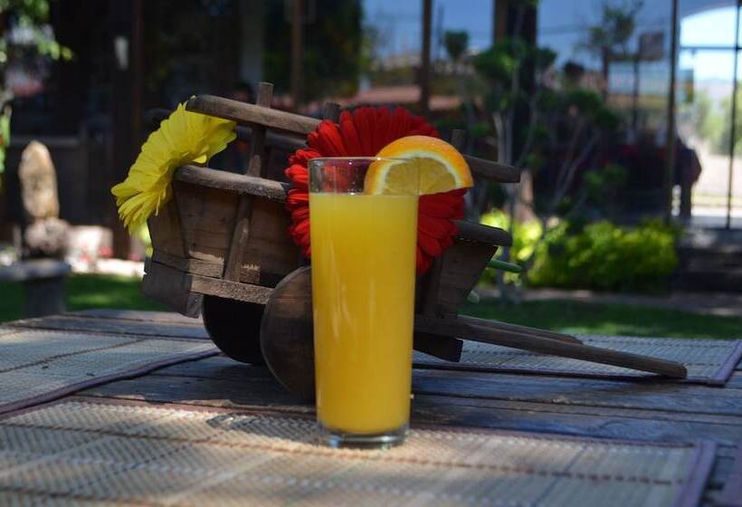 בית מלון כפרי Vicalis