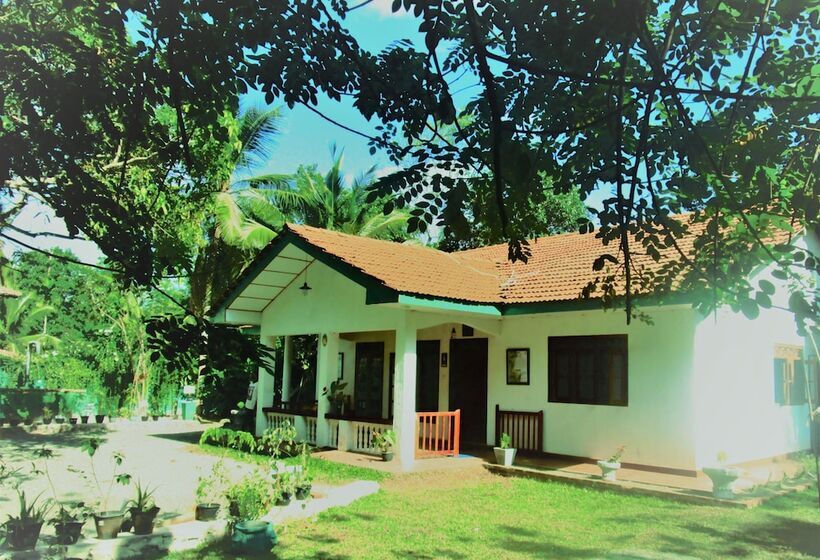 리조트 Green Herbal Ayurvedic Ecolodge