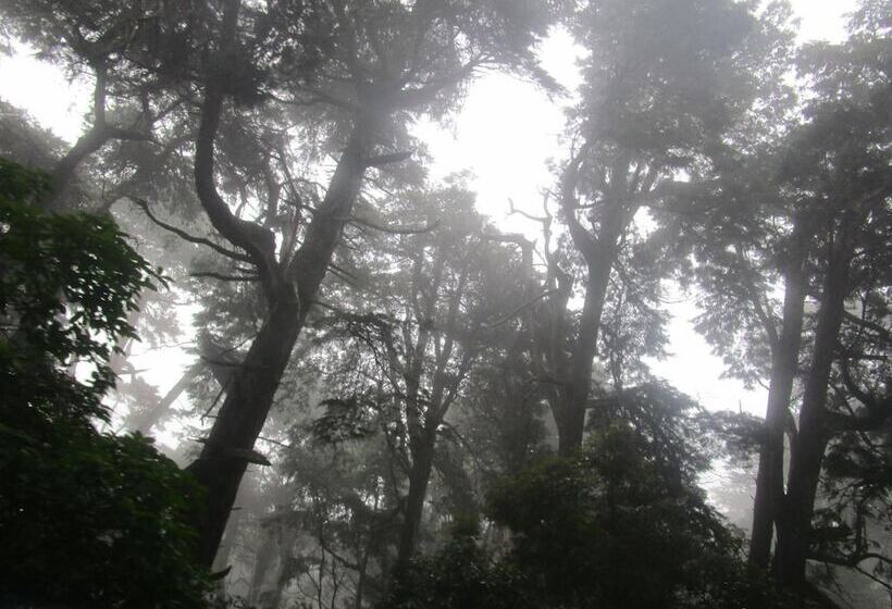 리조트 Green Herbal Ayurvedic Ecolodge