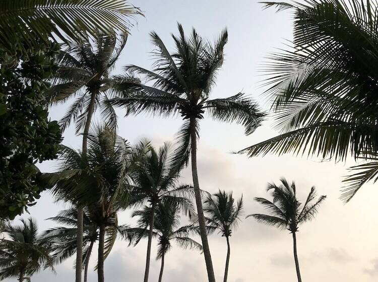 Shalimar Beach Resort