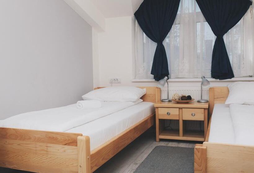 هاستل Bloom Inn