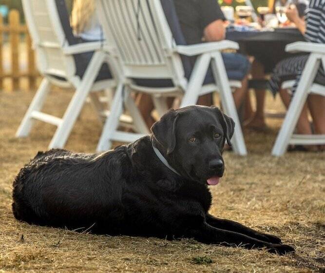 호스텔 Haga Park Camping & Stugor