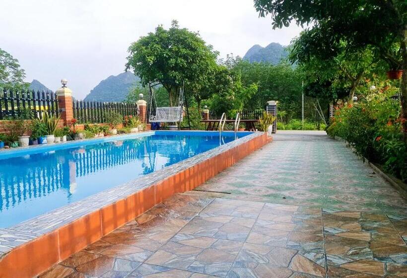 هاستل Phong Nha Amanda Homestay