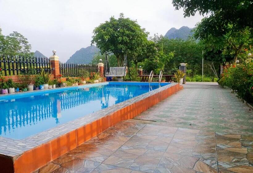 هاستل Phong Nha Amanda Homestay