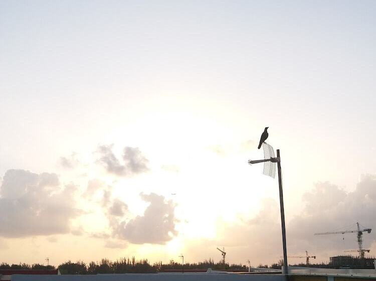 Bed and Breakfast Amber Terrace Lot.11125 R 1509