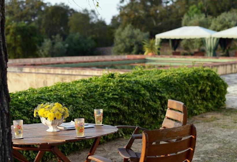 צימר Convento Inn And Artists Residency